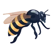Apiterapi